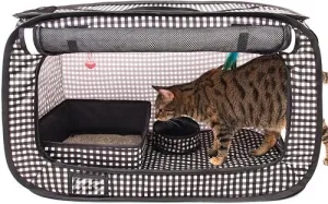 Cat Travel Set