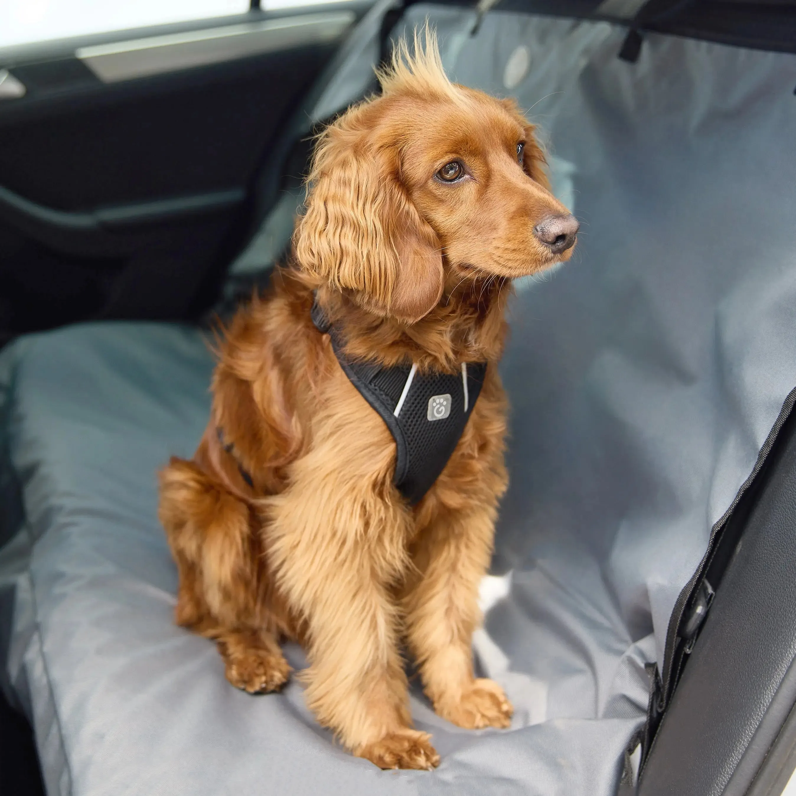 Dog Travel Harness