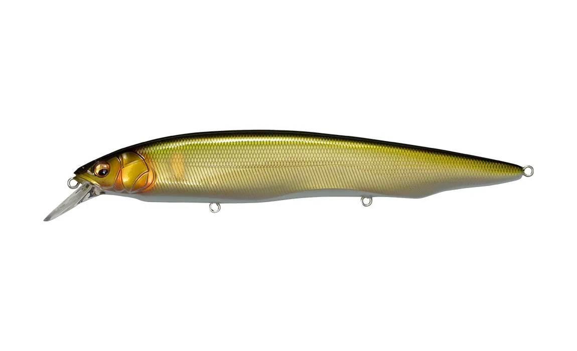 Megabass Kanata