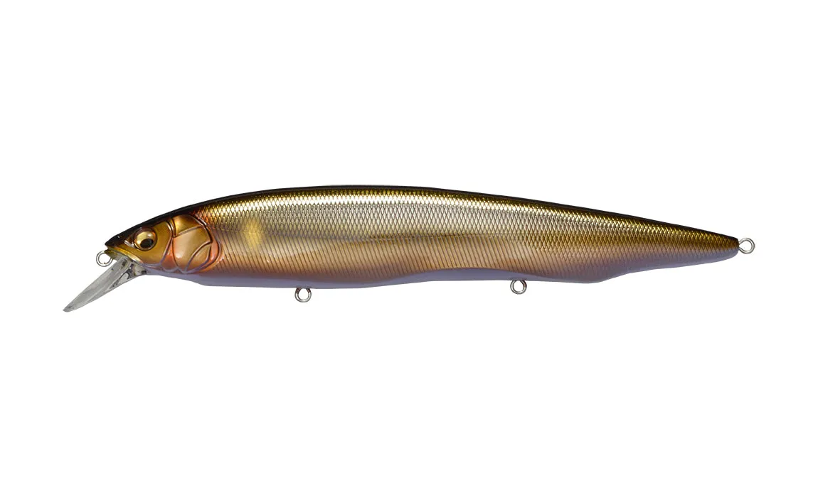 Megabass Kanata