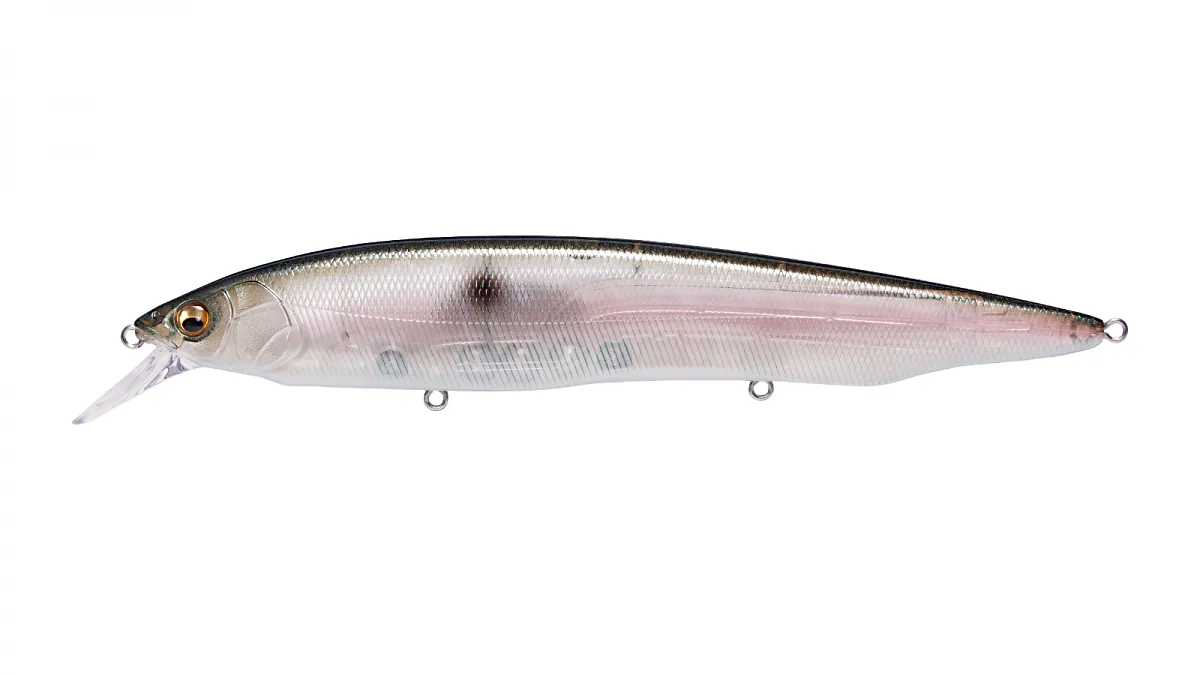 Megabass Kanata