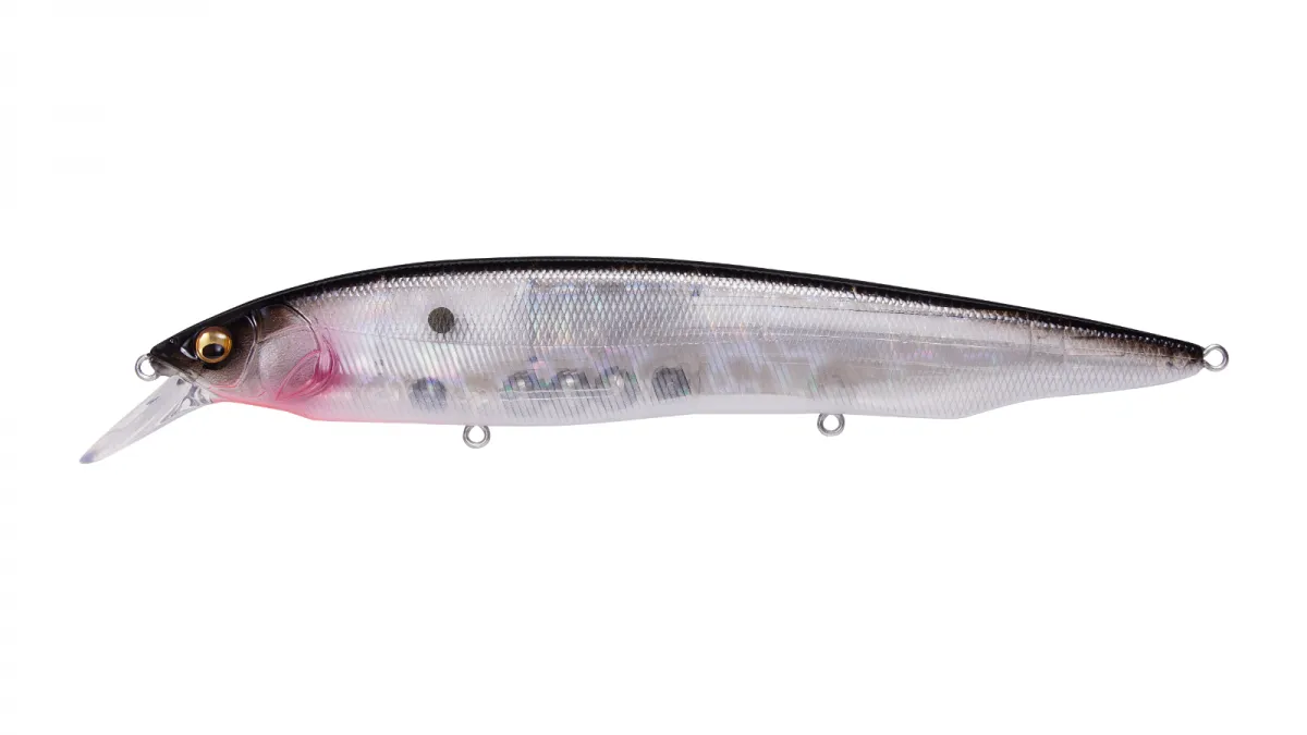 Megabass Kanata