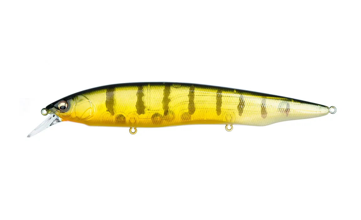 Megabass Kanata