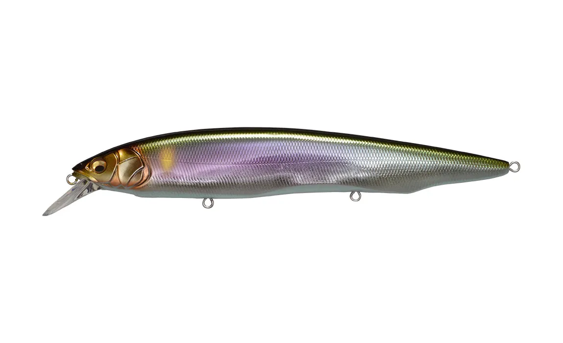 Megabass Kanata