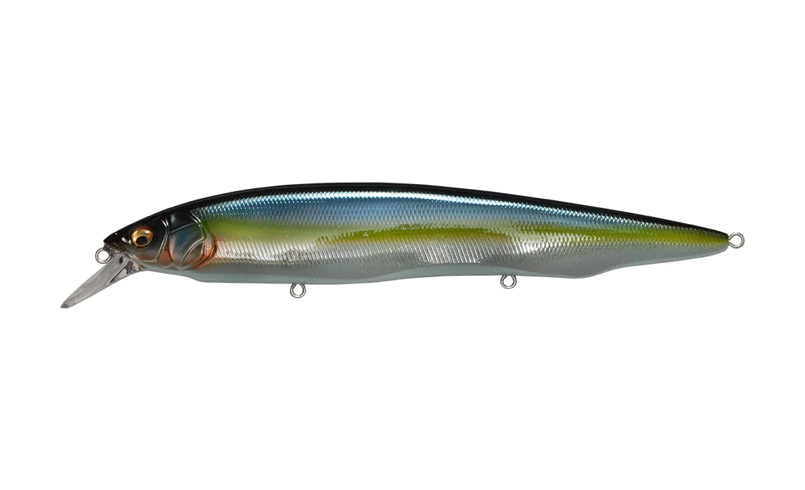 Megabass Kanata