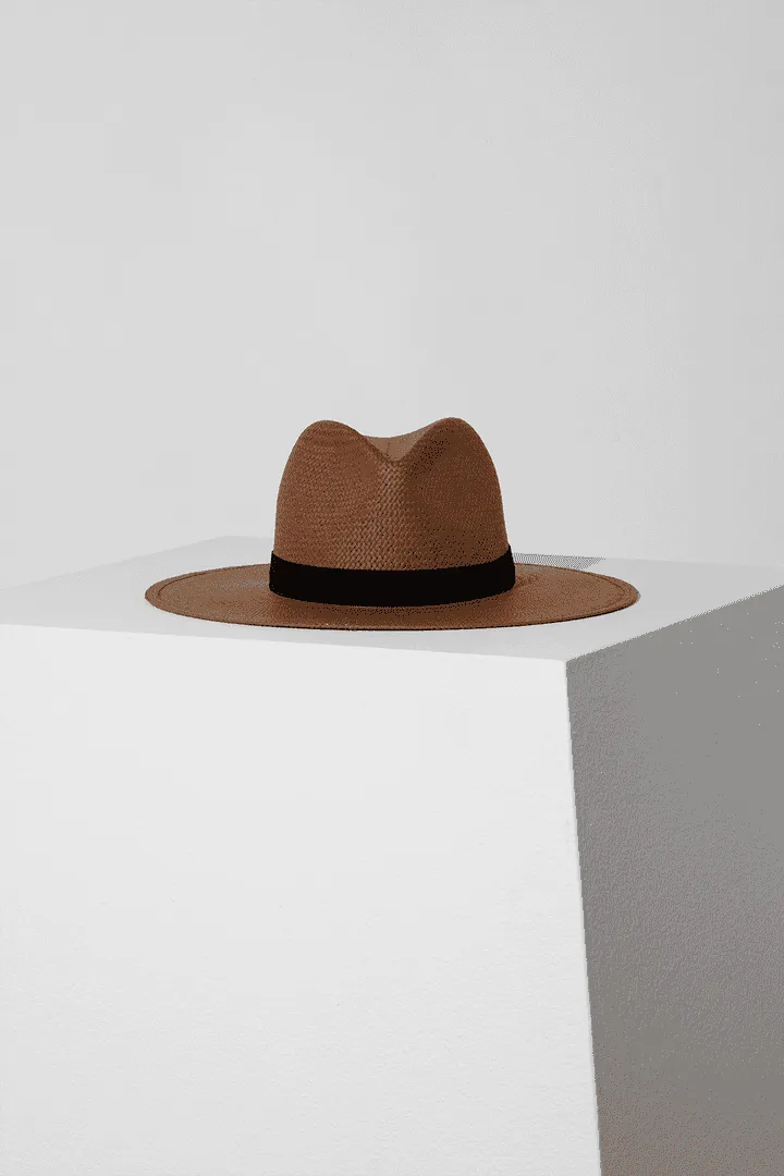 Michon Hat in Brown