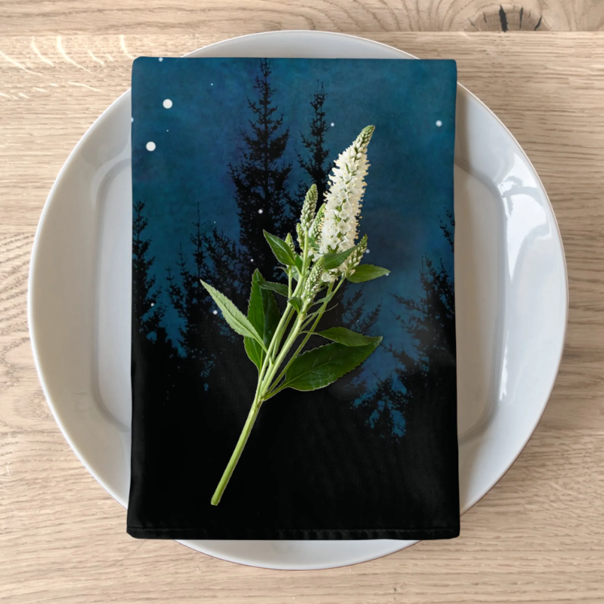 Night Sky Cloth Napkins