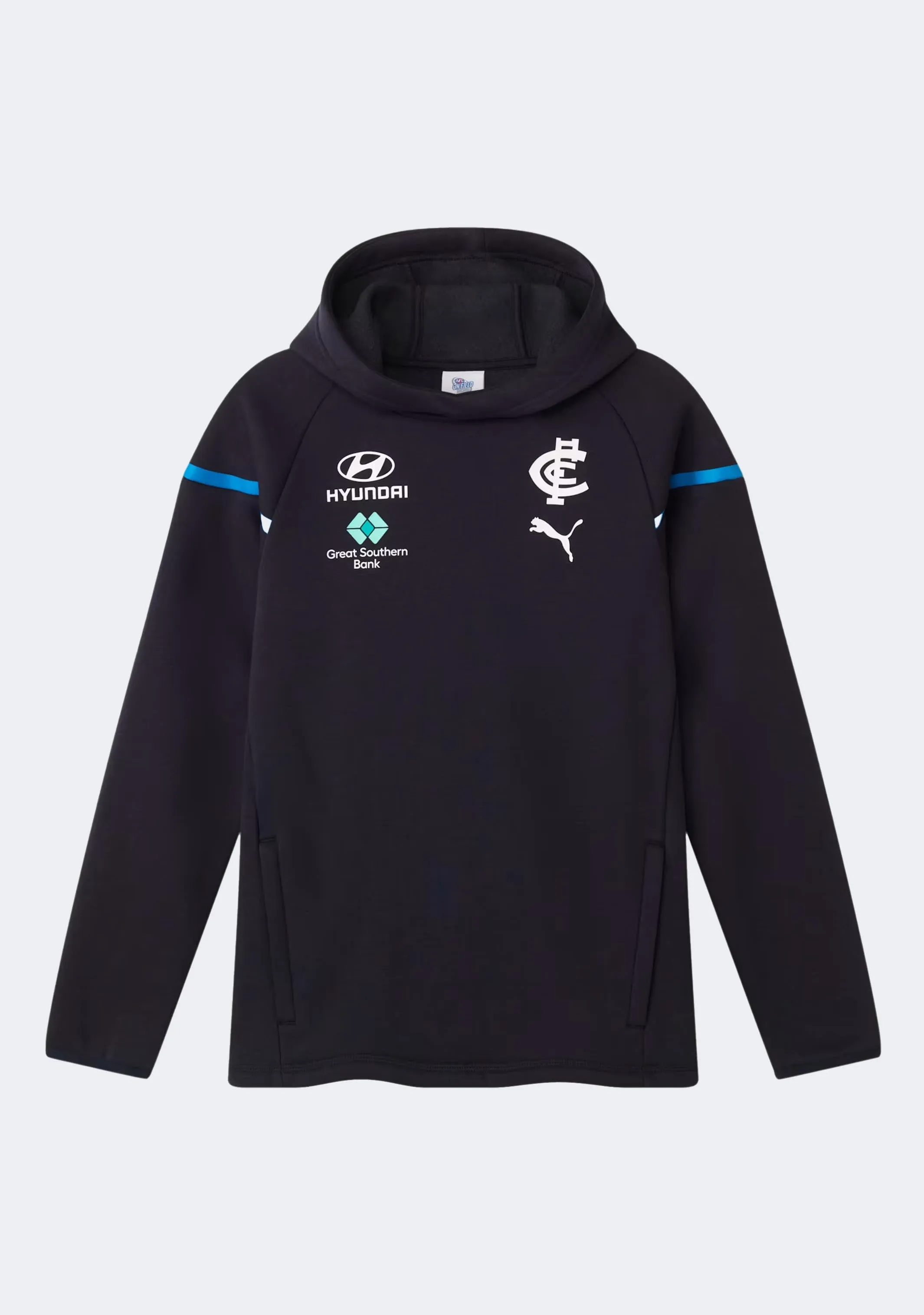Puma Kids' Carlton FC 2024 Team Hoodie