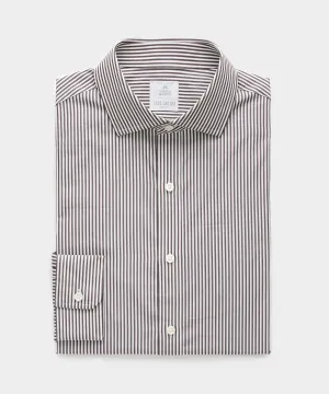 Spread Collar Poplin Dress Shirt in Brown Banker Stripe