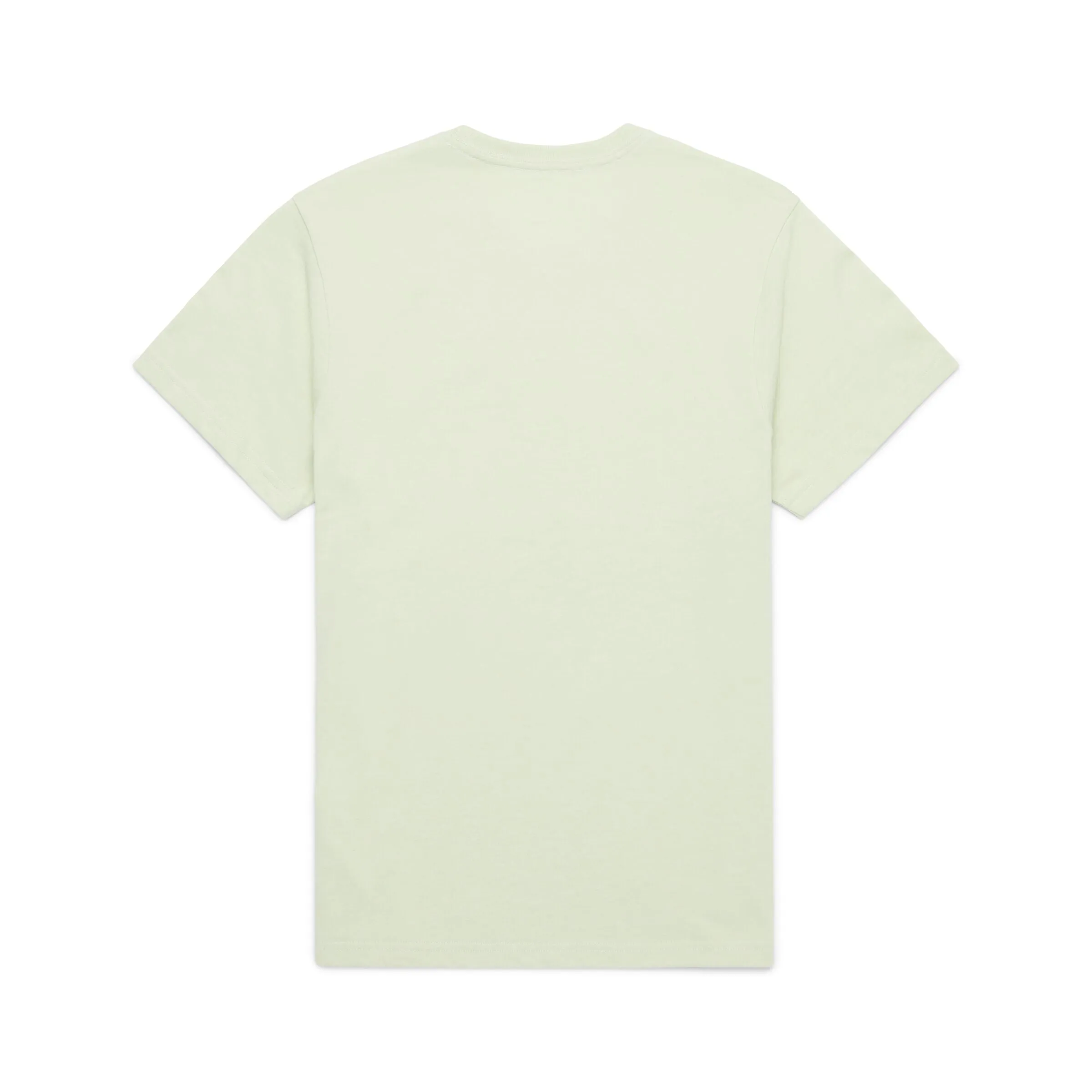 T-Shirt Reflections