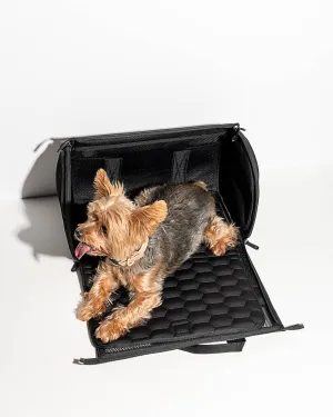 Wild One - Air Travel Carrier